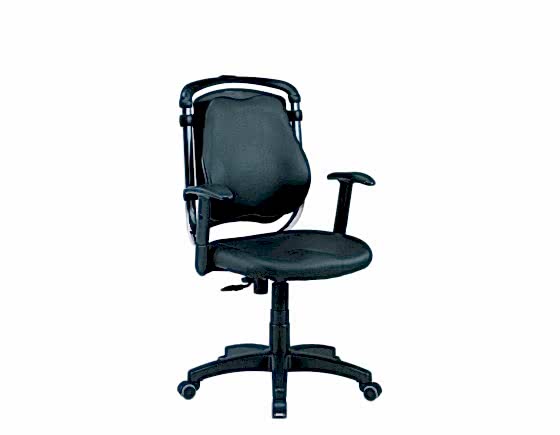 Cobra one back